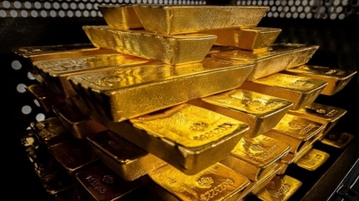 Varför är Polen så desperat efter guld?