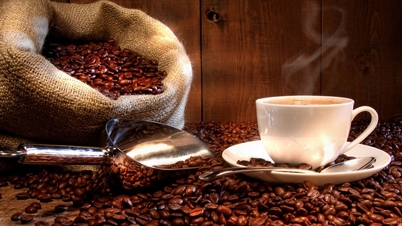 Koffieprijzen vandaag, 24 januari: De koffieprijzen in de Centrale Hooglanden zijn fors gedaald met 900 VND/kg en schommelen rond de 99.000 VND.
