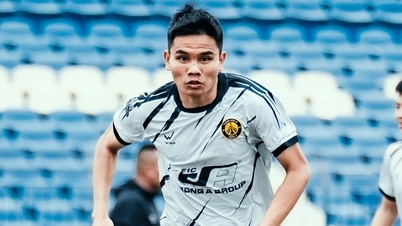 ក្លឹប Thanh Hoa FC ប្រឈមមុខនឹងបណ្តឹងចំនួនបីបន្ថែមទៀតពី FIFA។