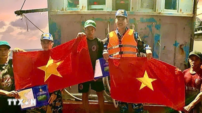 Turning the Resolution into results: Fishermen gain confidence in their craft, developing the marine economy.