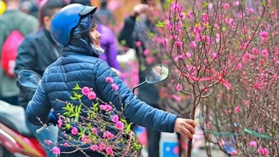 Latest weather forecast for the Lunar New Year (Tet) holiday in 2026: Will it be as cold and harsh as in previous years?