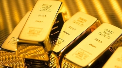 سعر الذهب اليوم، 24 يناير 2026: ارتفع بشكل حاد بمقدار 2.2 مليون دونغ فيتنامي/أونصة.