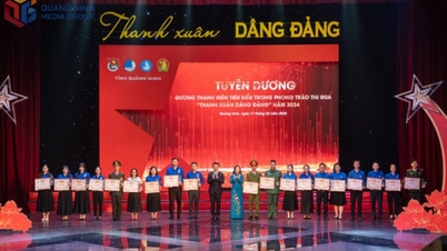 កម្លាំងចលករនៅពីក្រោយចលនាត្រាប់តាម "យុវជនឧទ្ទិសដល់គណបក្ស"