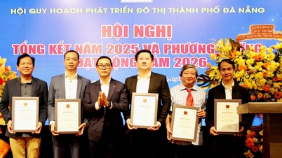 ការលើកកម្ពស់គុណភាពនៃការពិគ្រោះយោបល់ និងការពិនិត្យឡើងវិញនូវគម្រោងផែនការទីក្រុងនៅក្នុងទីក្រុងដាណាំង។