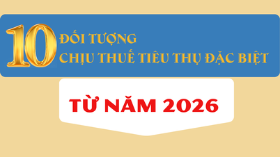 डिक्री 360/2025/एनडी-सीपी के अनुसार, 2026 से दस श्रेणियों की वस्तुओं और सेवाओं पर उत्पाद शुल्क लागू होगा।