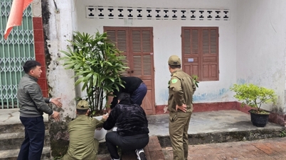 কোয়াং হা কমিউন একই সাথে নগর এলাকাকে সুন্দর করার এবং আবাসিক অবকাঠামো উন্নত করার জন্য একটি প্রচারণা শুরু করেছে।