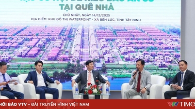 Erschließung von Ressourcen der im Ausland lebenden Vietnamesen für die Entwicklung des Immobilienmarktes im Jahr 2026.