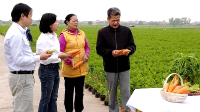 ប្រព័ន្ធផ្សព្វផ្សាយកសិកម្មថ្នាក់មូលដ្ឋាន៖ «ដៃគូ» របស់កសិករ។