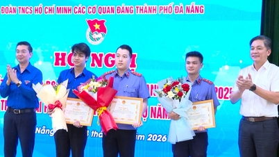 The youth of the Party agencies in Da Nang are demonstrating a pioneering and volunteer spirit.