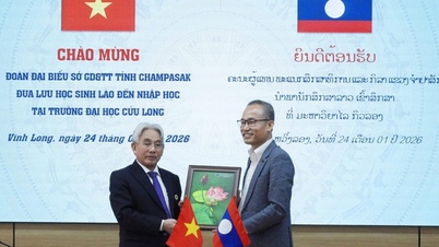 Több mint 900 külföldi kapott vietnami nyelvvizsgát a Cuu Long Egyetemen.