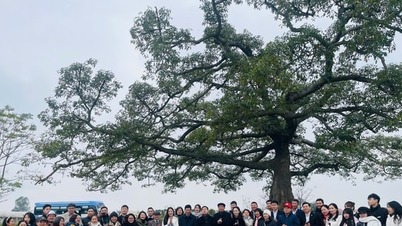 Hanoi: Táblaavató ünnepség a Ba-templom restaurálása és felújítása, valamint a Da Phuc zöld turisztikai program elindítása alkalmából.