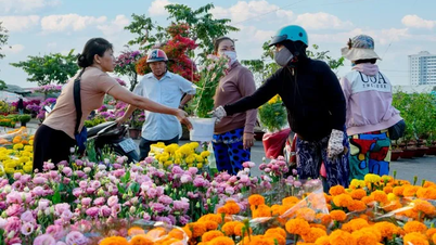 ការរៀបចំកំពុងដំណើរការសម្រាប់ការបើកផ្សារផ្កា Binh Dong Tet - និទាឃរដូវឆ្នាំសេះ ២០២៦។