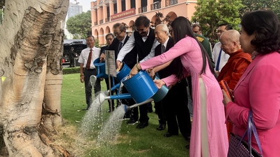 Pokok Bodhi yang melambangkan persahabatan Vietnam-India genap berusia 35 tahun.
