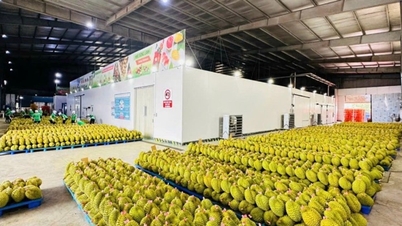 As exportações de frutas e vegetais mostram sinais positivos neste início de ano.