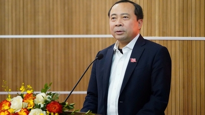 El Viceministro Permanente de Ciencia y Tecnología, Vu Hai Quan, ha sido nominado como candidato a la Asamblea Nacional.