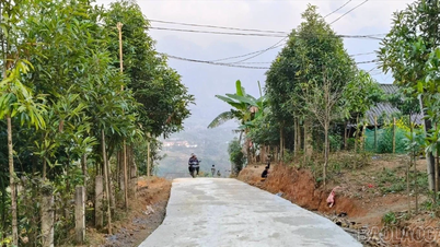 Son Luong abre caminho, desbloqueando oportunidades de desenvolvimento nas terras altas.