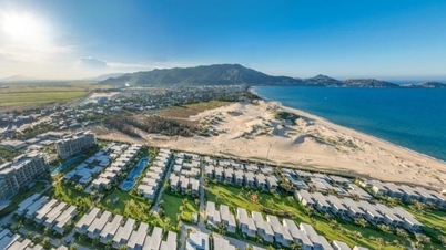 Kumpulan Tuan Dung dan strateginya untuk memperoleh rangkaian projek bandar pesisir pantai bernilai berbilion dolar.