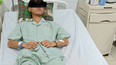 Úřady okamžitě zachránily mladého muže, kterého při práci na poli uštkla zmije zelená.