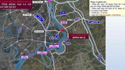 Construction begins on the 11.5 trillion VND Long Hung Bridge connecting Ho Chi Minh City and Dong Nai: A turning point for infrastructure in the East.