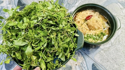 This "heavenly" vegetable, found from the South to the North, has a unique bitter taste and is delicious when eaten with snakehead fish porridge.