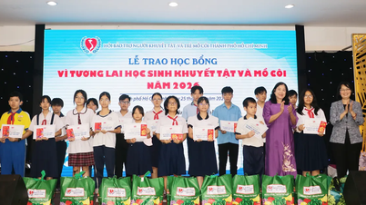 Providing Tết (Lunar New Year) support for orphaned and disabled students.