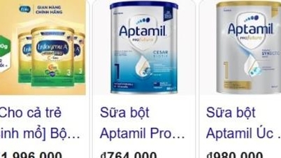Mối nguy từ độc tố Cereulide trong vụ sữa Aptamil