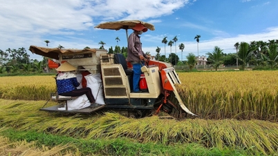 ຜ່ານຜ່າຄວາມຫຍຸ້ງຍາກ, ຂະແໜງກະສິກຳຂອງແຂວງກວາງຫງາຍບັນລຸອັດຕາການເຕີບໂຕ 5,2%.