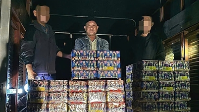 Provincie Lam Dong během lunárního Nového roku tvrdě zasahuje proti trestným činům souvisejícím s ohňostroji.