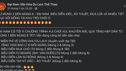 Dai Nam Tourist Area offers free entry during the 2026 Lunar New Year: A highlight of tourism in Southern Vietnam.