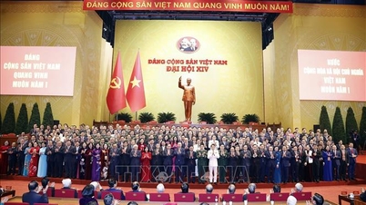 Indian scholars assess the success of the 14th Congress of the Communist Party of Vietnam.