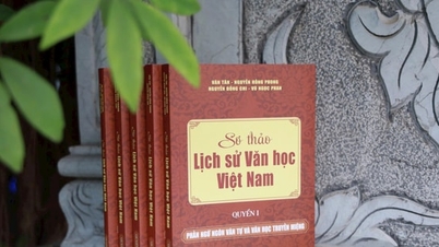 « Histoire préliminaire de la littérature vietnamienne » – Une série de livres présentant de manière systématique l’évolution de la littérature vietnamienne.