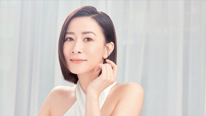 Ao fazer seu testamento aos 51 anos, a atriz Charmaine Sheh optou por permanecer solteira e não ter filhos.