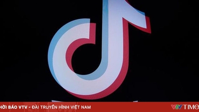 TikTok's new joint venture still hasn't reassured Americans.