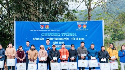 Jovens de três bairros organizaram um programa de voluntariado na província de Phu Tho.
