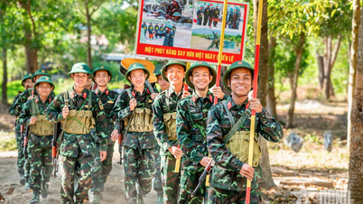 ចំណុចសំខាន់ៗក្នុងជីវិតរបស់ទាហាន