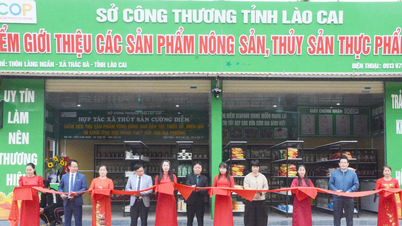 Xúc tiến thương mại, khẳng định vai trò cửa ngõ giao thương