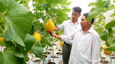 ສະຫະກອນເຕັກໂນໂລຢີສູງ - ກົນໄກເພື່ອຍົກລະດັບກະສິກຳຢູ່ແຂວງເຫງະອານ.
