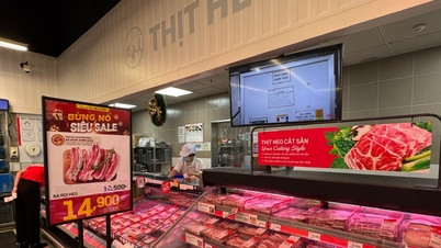 Svinekjøttpris i dag, 26. januar 2026: Når 80 000 VND/kg