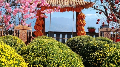 Weekend date with Tam Duong Tea - Lai Chau