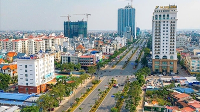 ប្រាក់ចំណូលដែលបានព្យាករណ៍សម្រាប់សង្កាត់ Gia Vien បានកើនឡើង ៣១ ដង។
