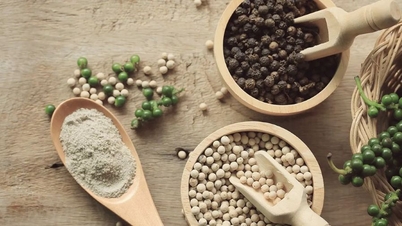 Ціни на сільськогосподарську продукцію 26 січня 2026 року: кава та перець залишаються на високому рівні.