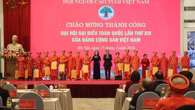 O Vice-Presidente participou da cerimônia que celebrou o encerramento bem-sucedido do 14º Congresso da Associação Vietnamita de Idosos.