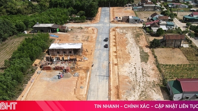 In Ha Tinh wurden 14 Grundstücke versteigert, wobei für viele Grundstücke Anzahlungen von über 3 Milliarden VND vorlagen.