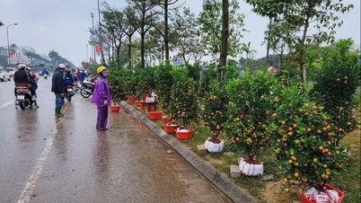 30 से 31 जनवरी तक, उत्तर में ठंडी, नम हवा का प्रभाव पड़ने की संभावना है।