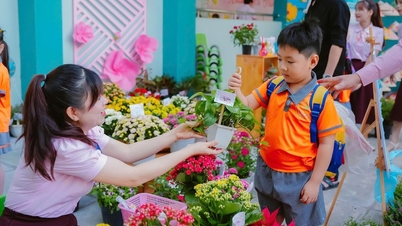 ホーチミン市では、何千平方メートルもの学校がテト（旧正月）を迎えるために鮮やかな花で飾られている。