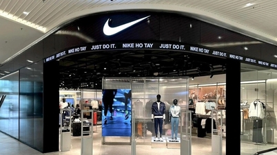 Nike untersucht den mutmaßlichen Datenverlust von 1,4 TB nach Hackerangriffen.
