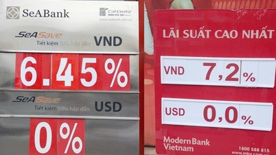 Lãi suất ngân hàng hôm nay 26/1: Thực tế tại quầy cao hơn niêm yết tới 1,7%
