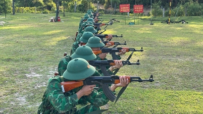 Realizar treinamento de combate e gerenciar e proteger a fronteira.