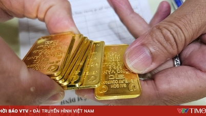 금괴와 은괴는 냥당 1억 7600만 VND가 넘는 가격에 거래되고 있으며, 이는 냥당 400만 VND를 초과하는 수치입니다.