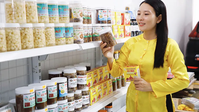 The flavors of Tet (Vietnamese Lunar New Year) and the entrepreneurial journey of "Ms. Moi"